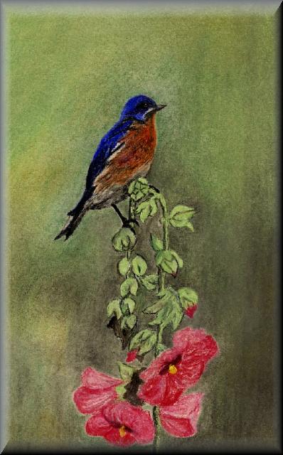 Bluebird in Hollyhack Pastel