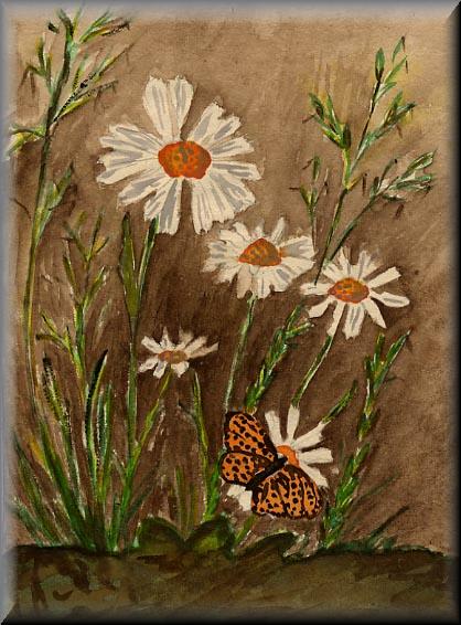 Butterfly Daisies