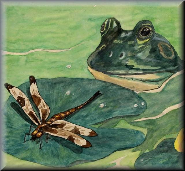 Dragonfly and the Frog