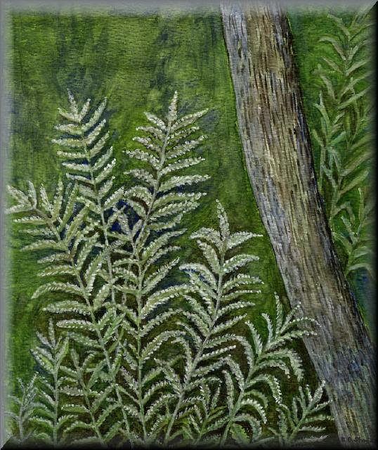 Ferns and Tree Trunk
