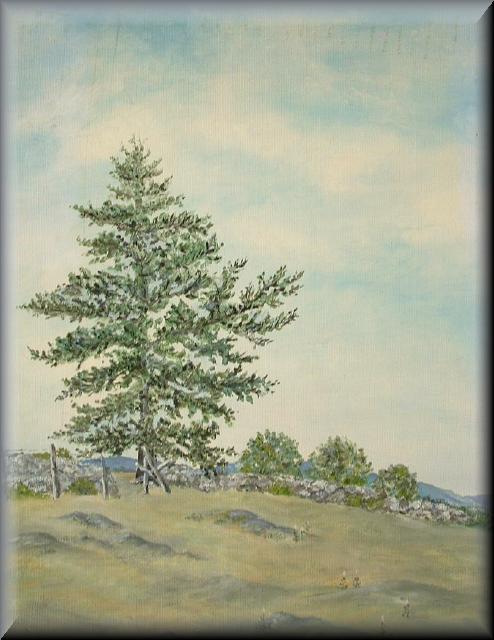 Old Pine Sentinel on Christian Hill in Amherst NH 1946