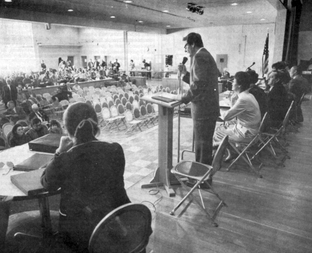 Town Meeting 1980
