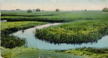 The Hampton Salt Marshes